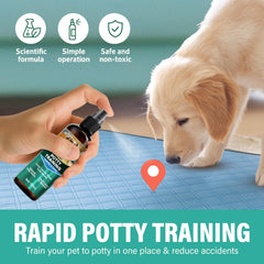 Cayenne dog potty spray on a pee pad for indoor toilet training flexibility.