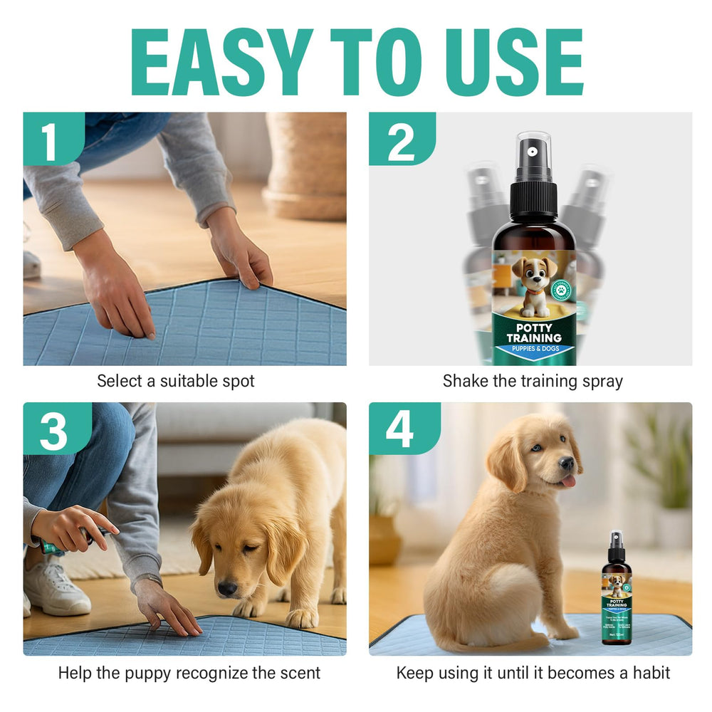 Cayenne dog potty spray during training session supports efficient habit formation.