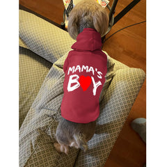 Cayxatiu Mama'Boy cat hoodie side view for everyday wear