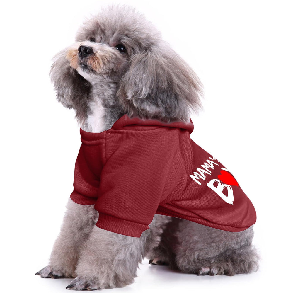 Cayxatiu Mama'Boy hoodie on dog during a walk