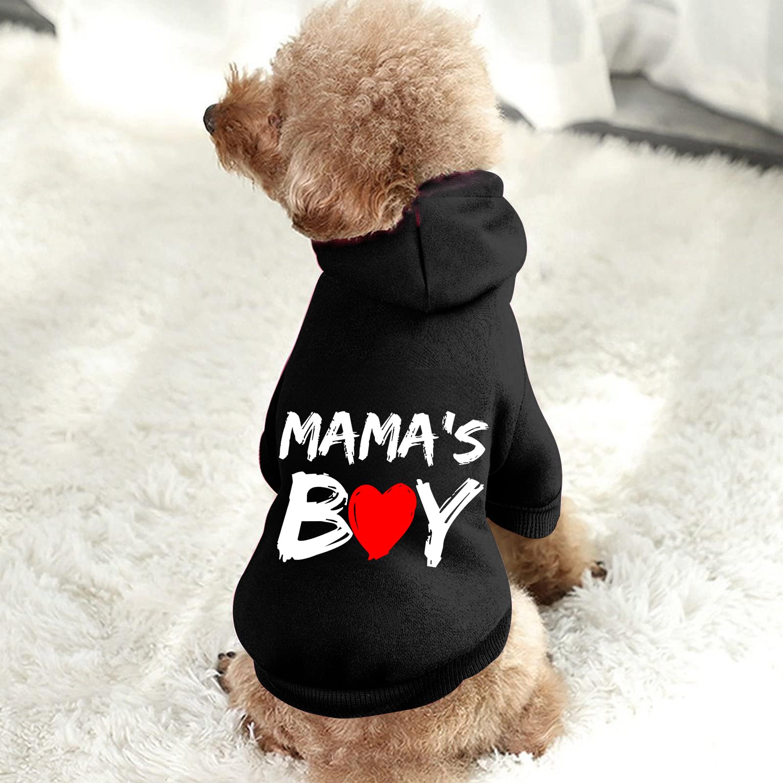 Cayxatiu pet hoodie care instructions image shows machine washable ease