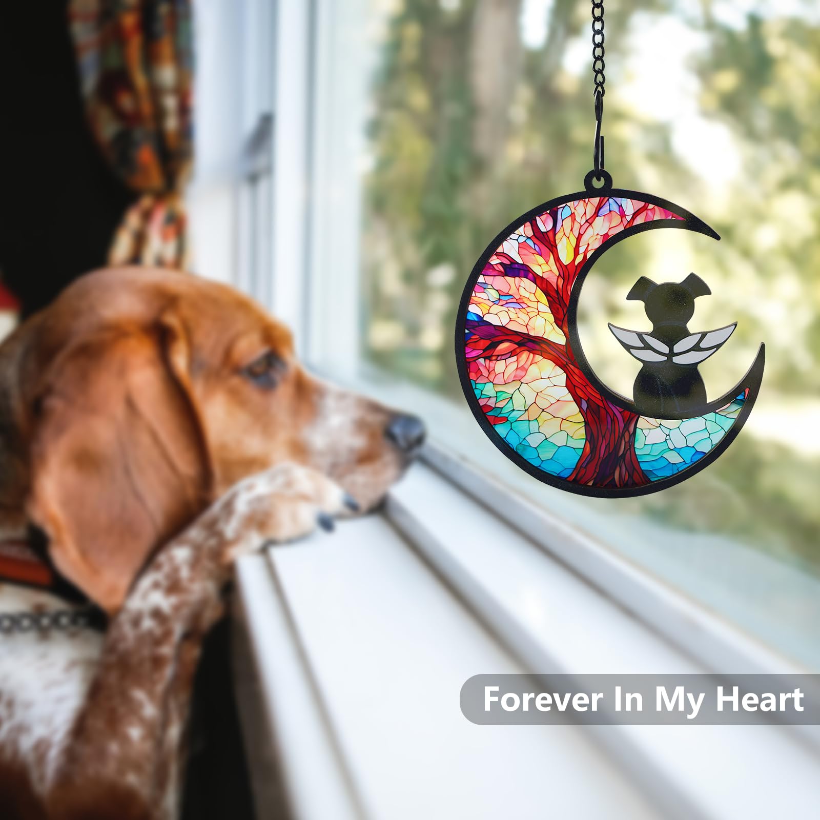 CCiaga 3-life-tree background emphasizes enduring bond and reflective memory.