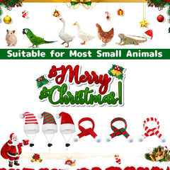 CCINEE adjustable chin strap hat detail highlights secure fit for playful pets.