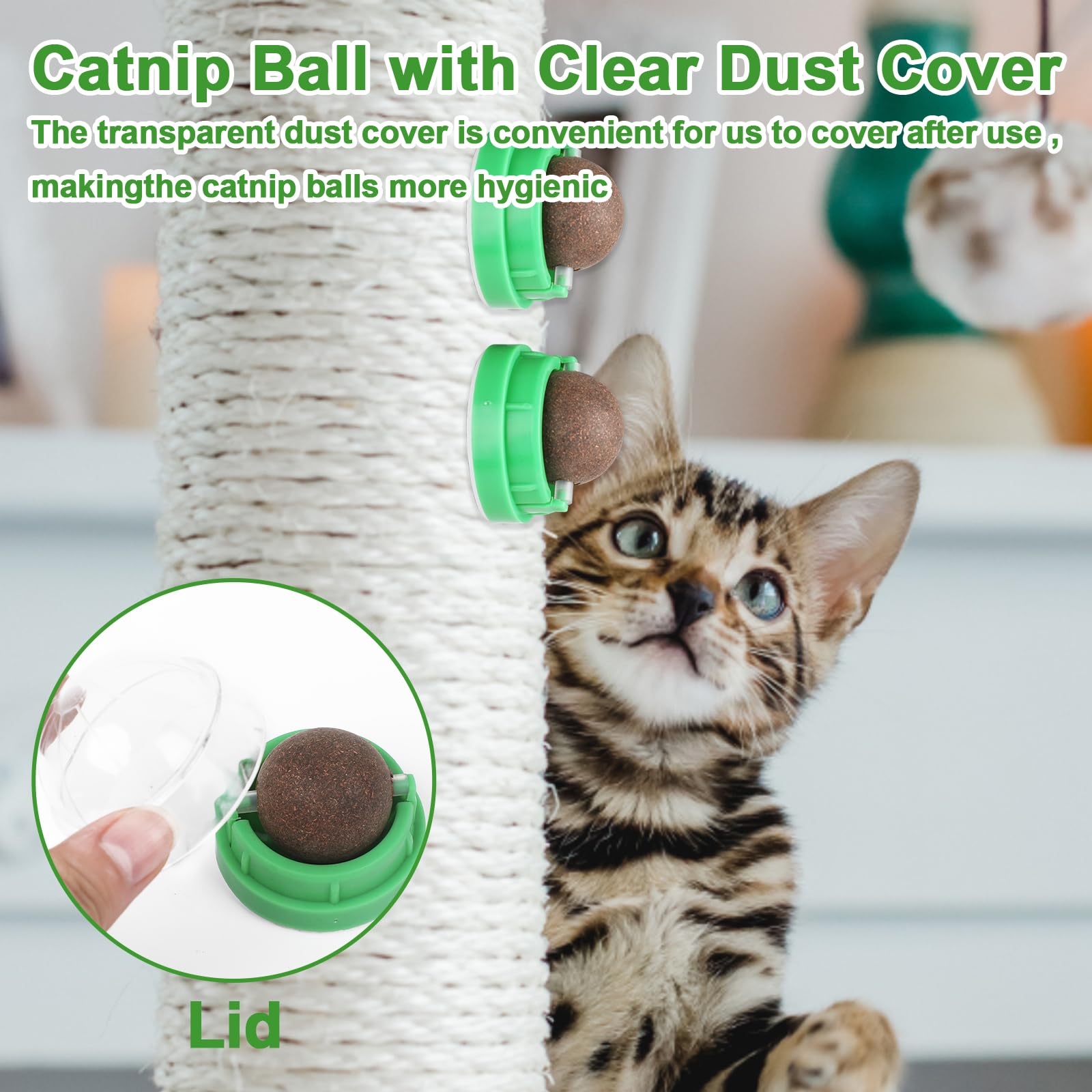 CCINEE wall-attached catnip ball suitable for vertical play and scent-triggered activity.