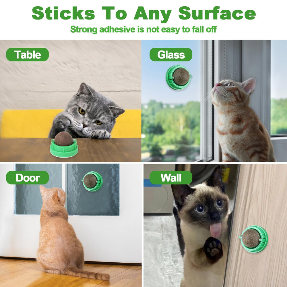 CCINEE edible cat chew balls illustrating safe dental cleaning in a home environment.