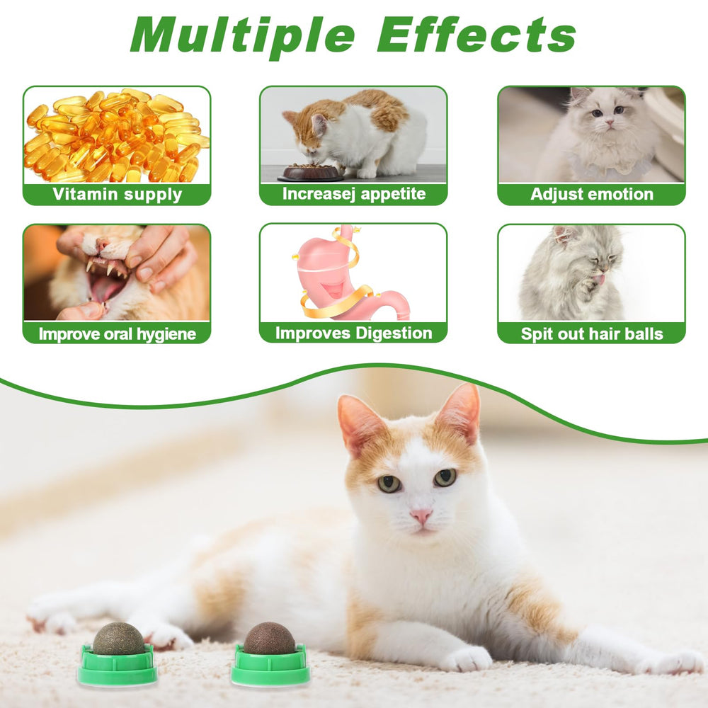 CCINEE silvervine-infused catnip balls for appetite stimulation and tummy-friendly entertainment.