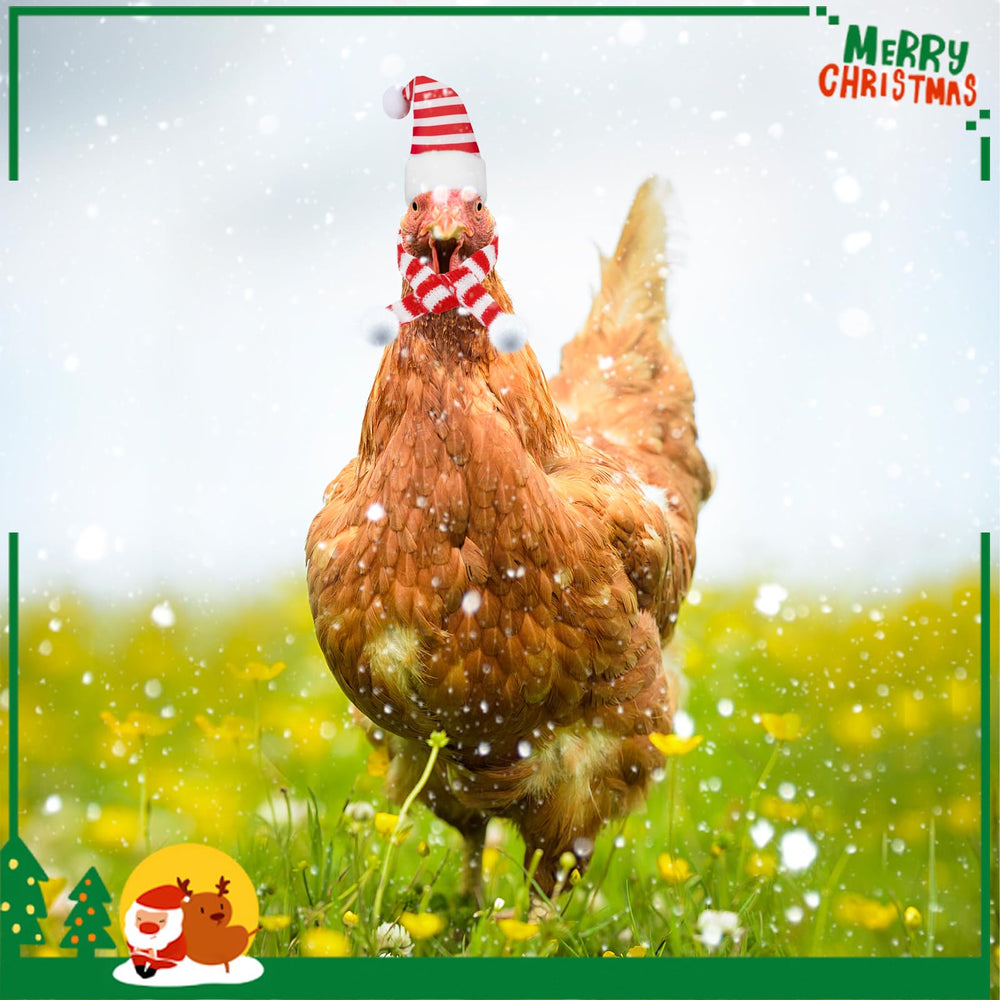 CCINEE pets wearing hats collection captures playful holiday moments.