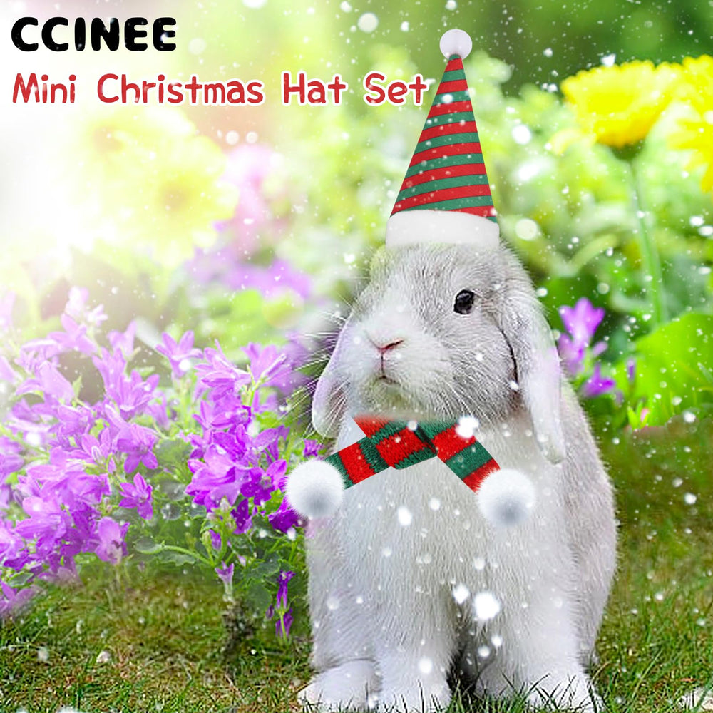 CCINEE small-animal hats style-2 presents festive looks for photos.