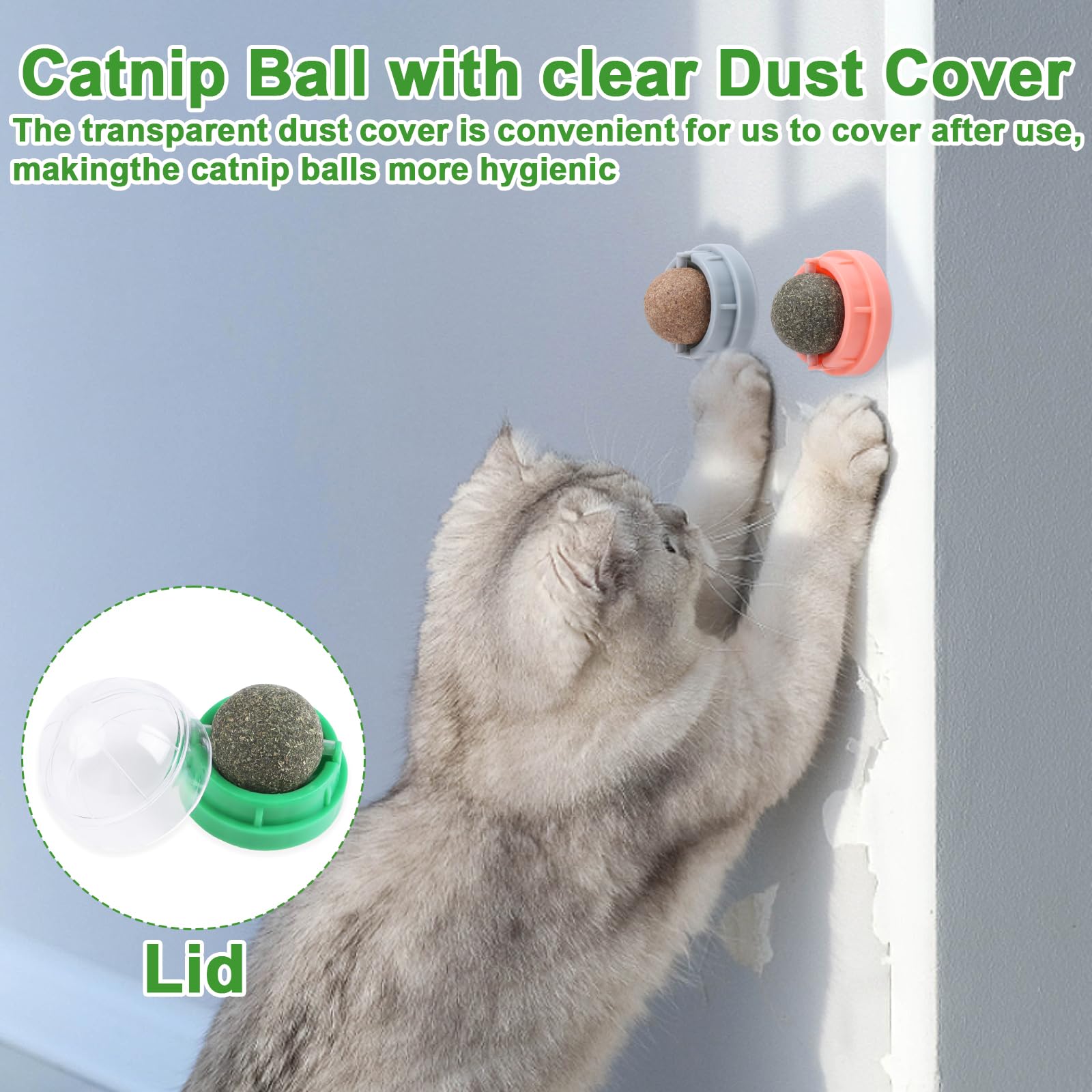 CCINEE stress-relief catnip balls promote calm play and digestion comfort