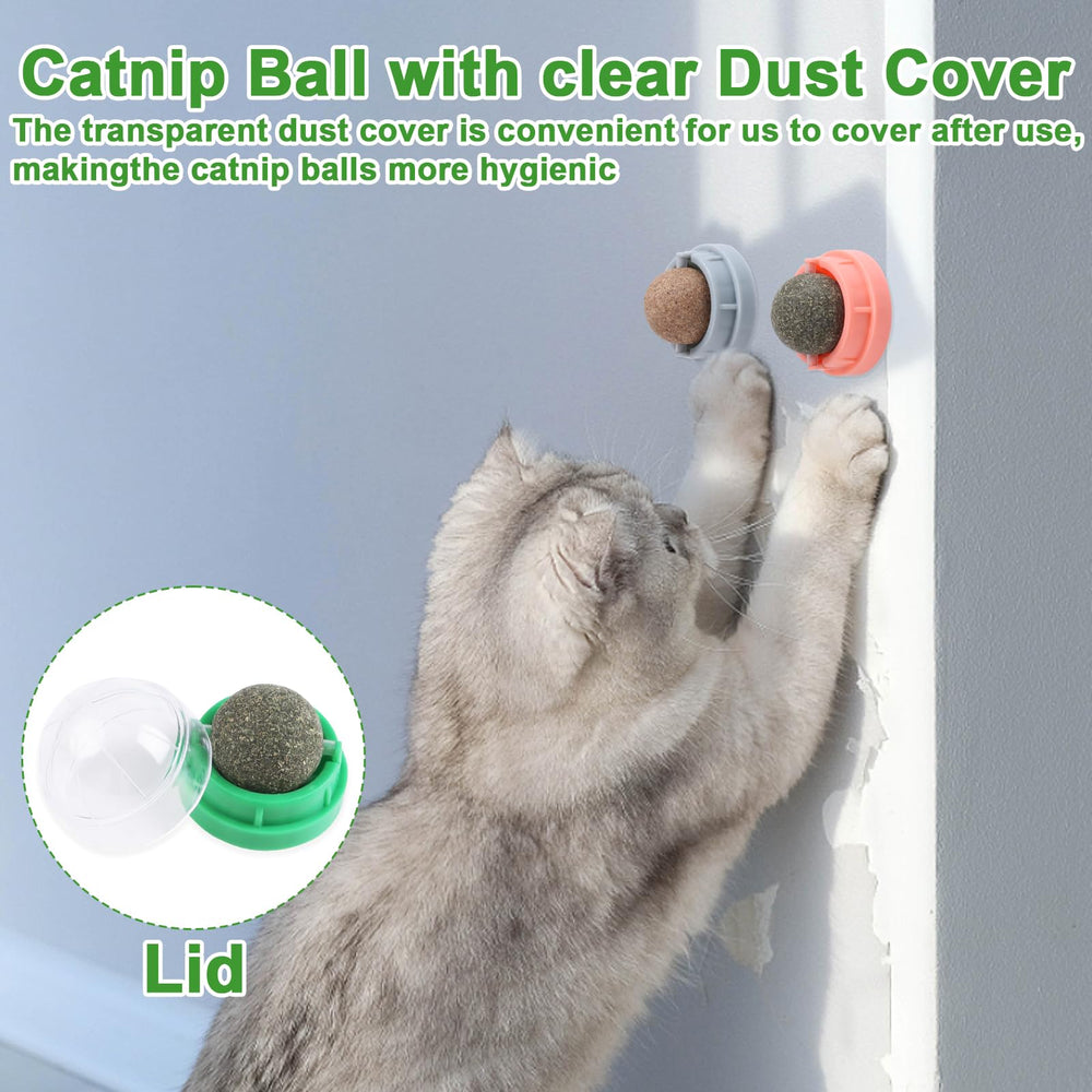 CCINEE stress-relief catnip balls promote calm play and digestion comfort