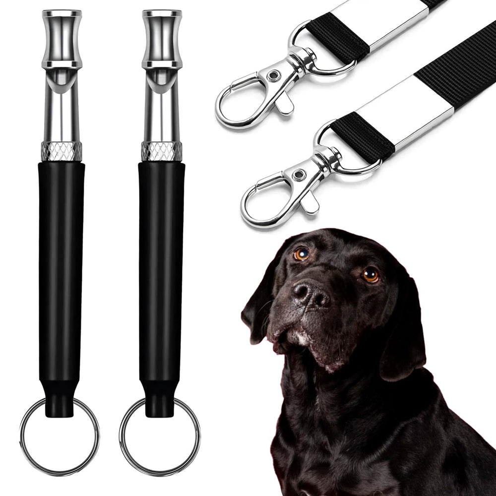 CdbC dog whistle two-pack with black lanyard aids quiet neighborhood training.
