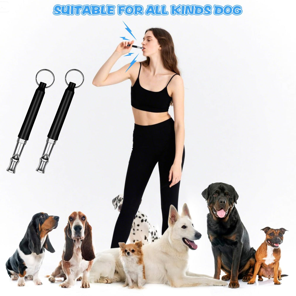 CdbC dog whistle on-keychain design fits parks and walks.