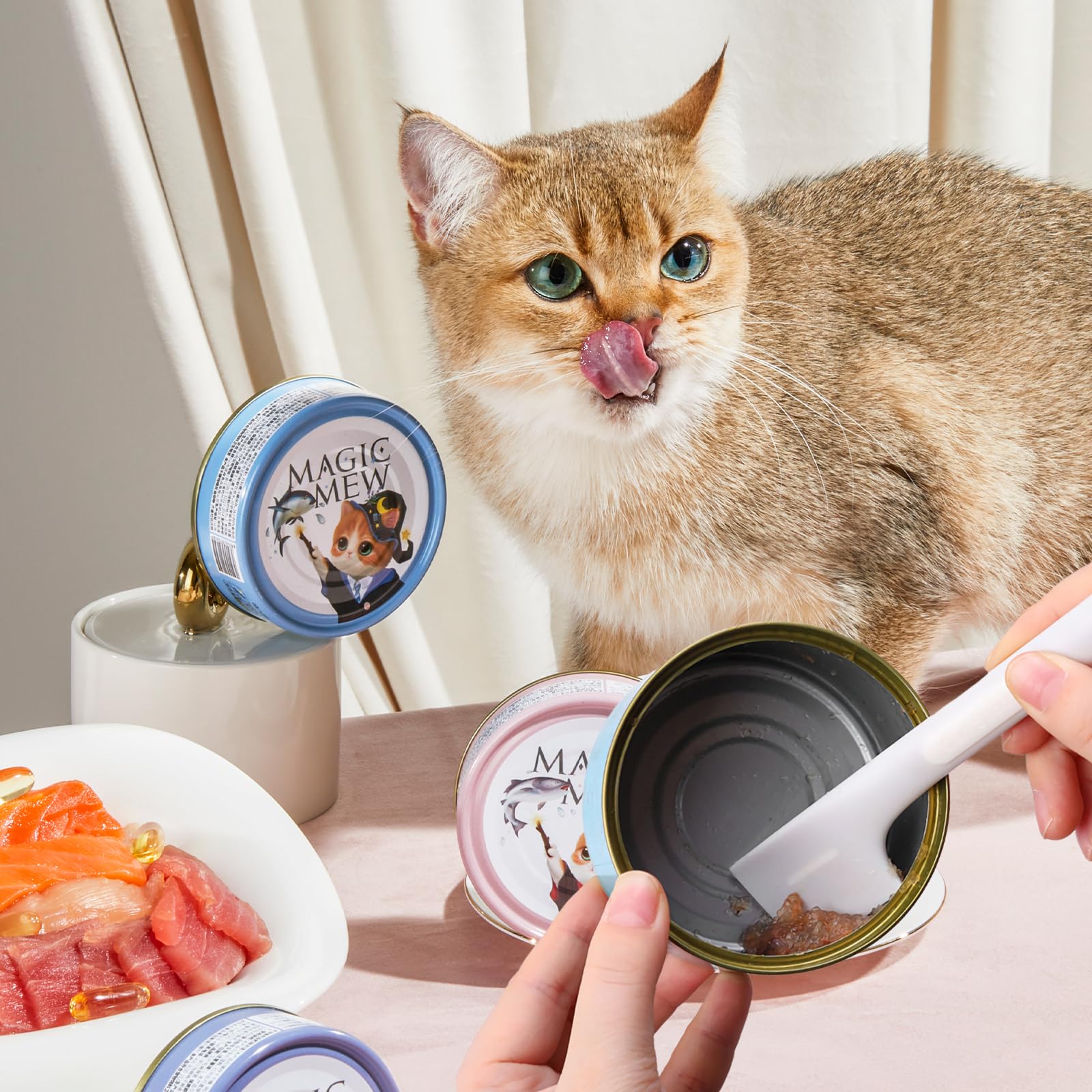 CdbC cat food spoon nails protection note shows safe feeding moment