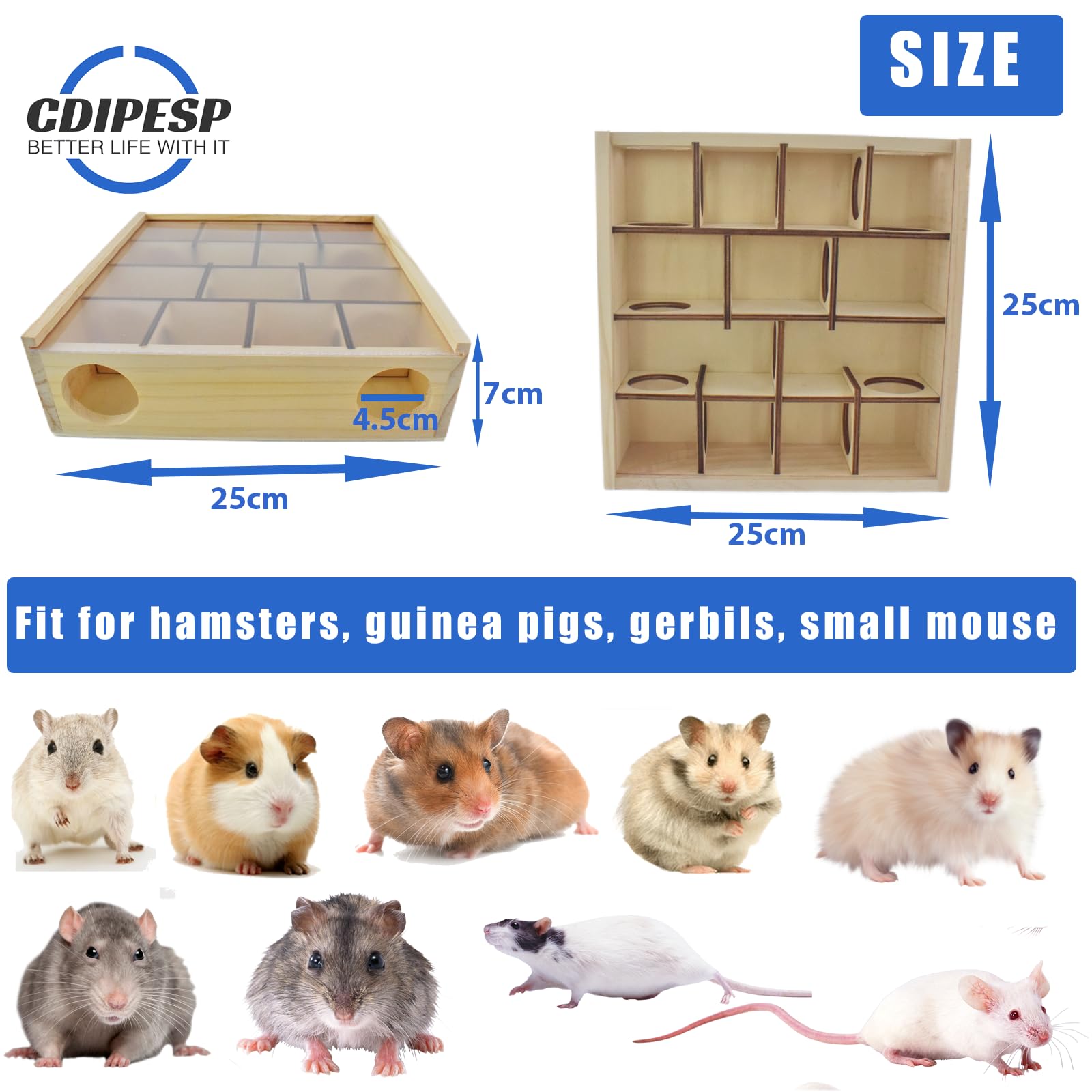 Cdipesp multi-chamber hamster maze highlighting 16 entrances and 13 compartments.