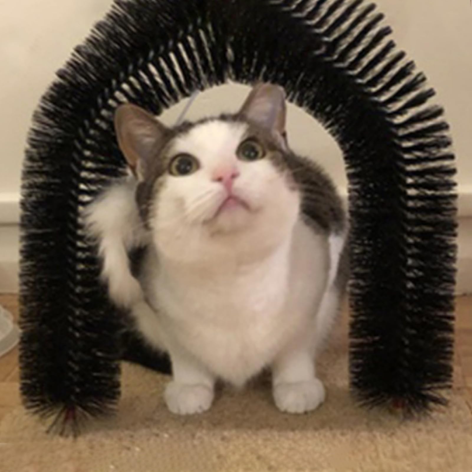 cdmoke cat arch grooming brush durable-bristles—soft bristles for skin-friendly detangling