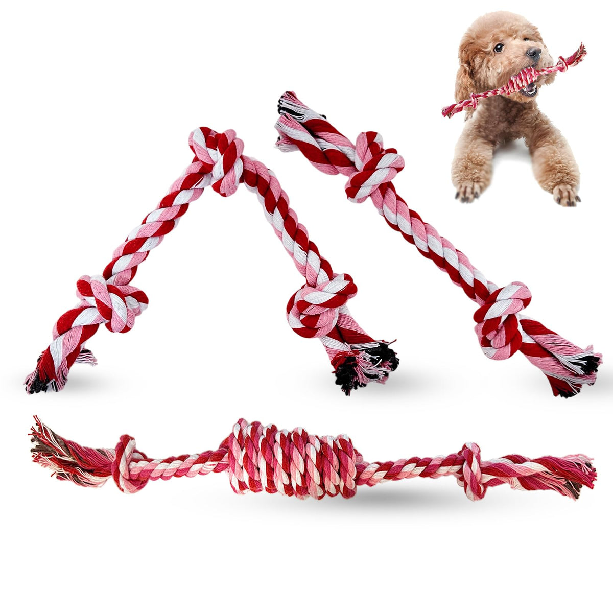 Cdyzqikm puppy 3-pack cotton knot rope toys readily spotted during play.
