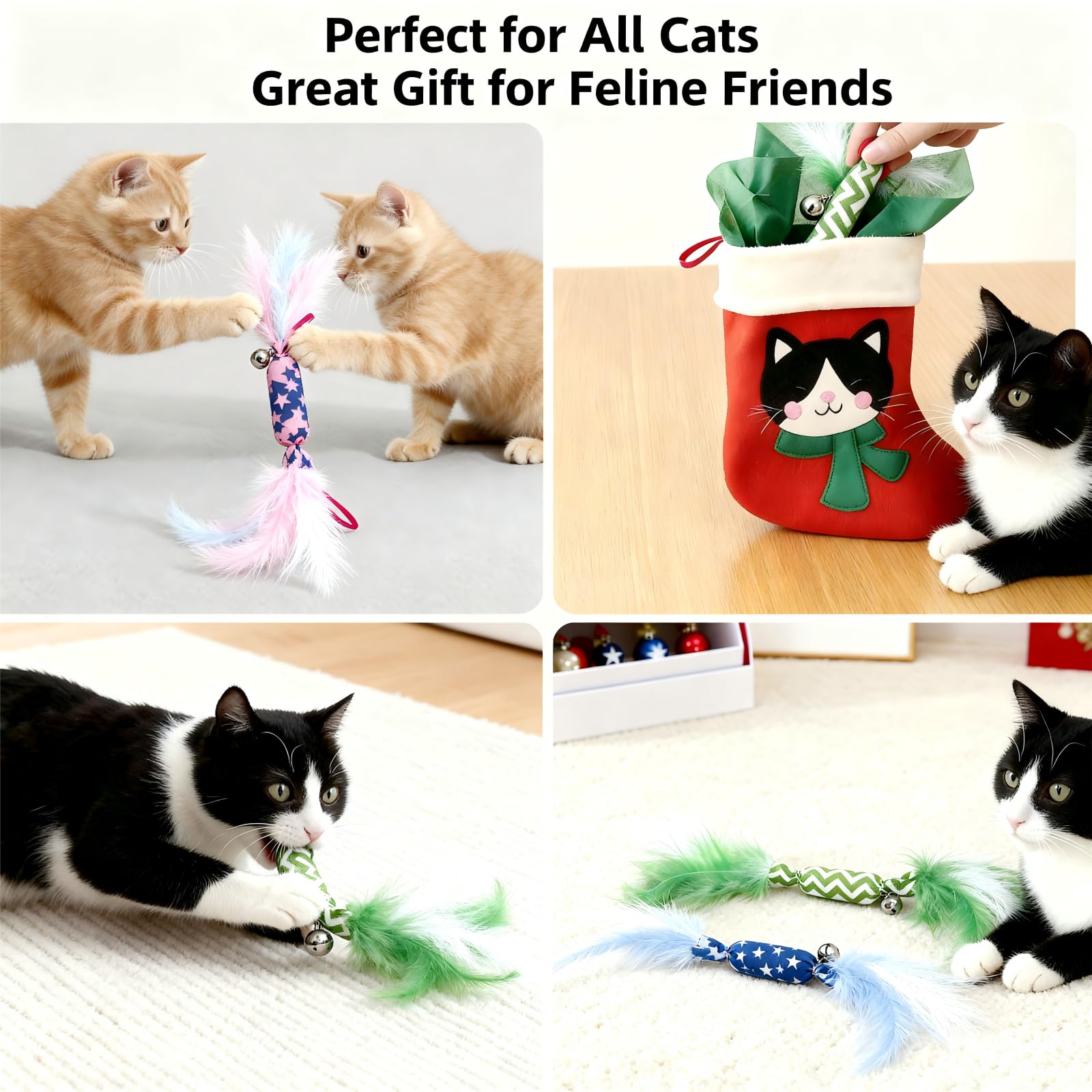 CealumVita catnip toy ideal for indoor enrichment and independent play sessions.