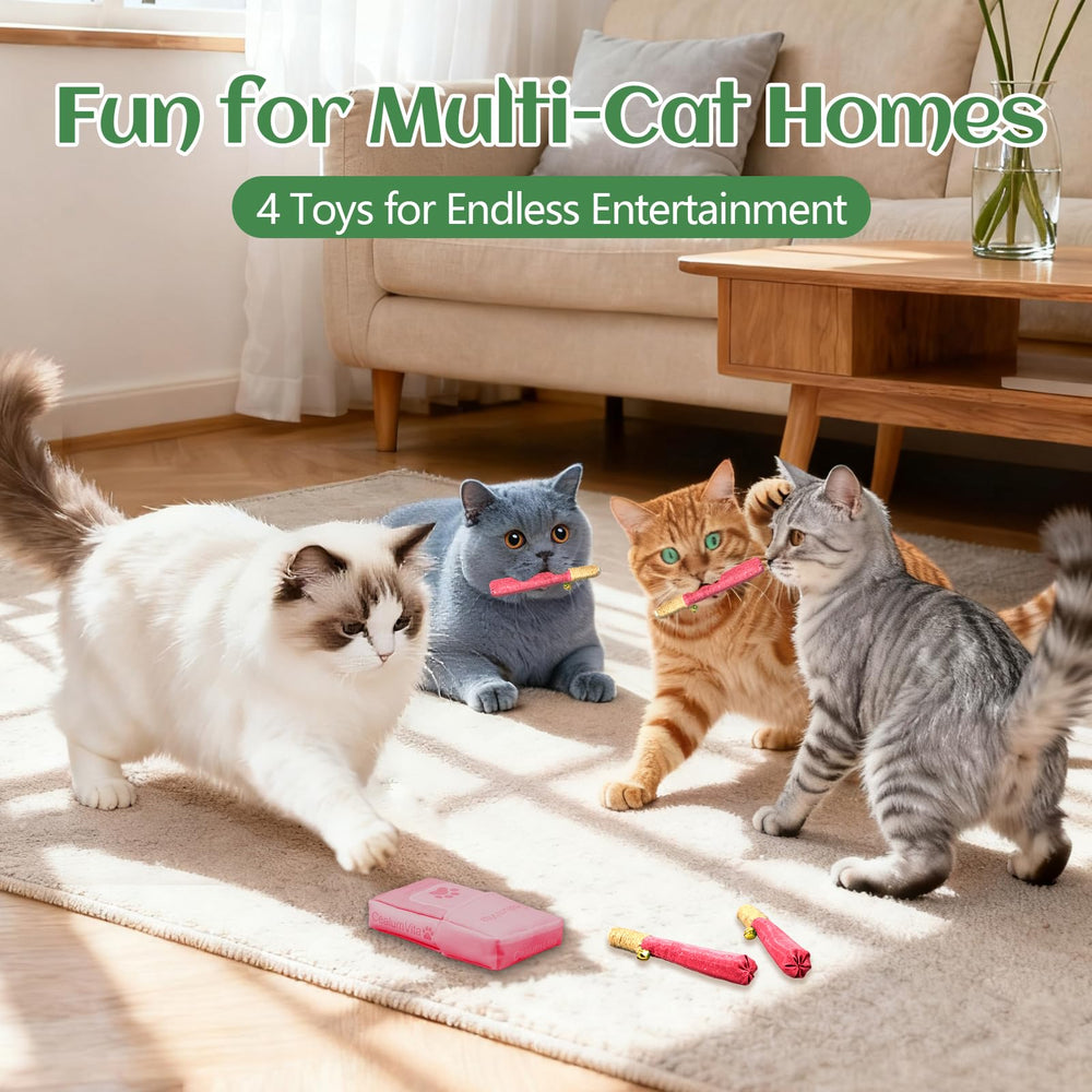 CealumVita indoor-cat enrichment with nip, bells, and ropes to reduce boredom.