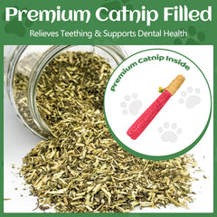 CealumVita catnip aroma sticks offer long-lasting play stimulation.