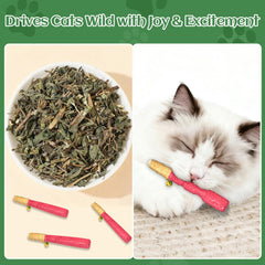 CealumVita teething rope toy provides safe chewing texture for kittens.