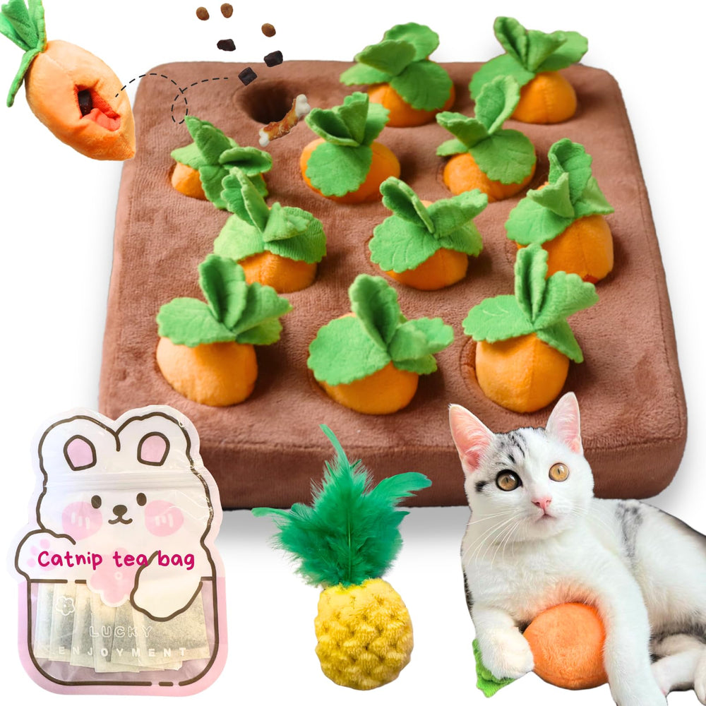 CECE PAW carrot catnip toys pack front view for indoor enrichment