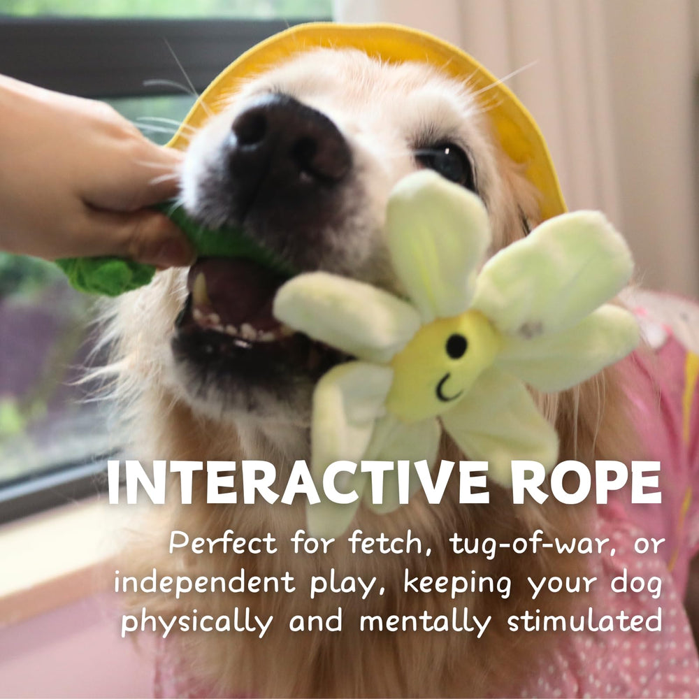 CECE PAW crinkle-paper-inside emits intriguing sounds during play