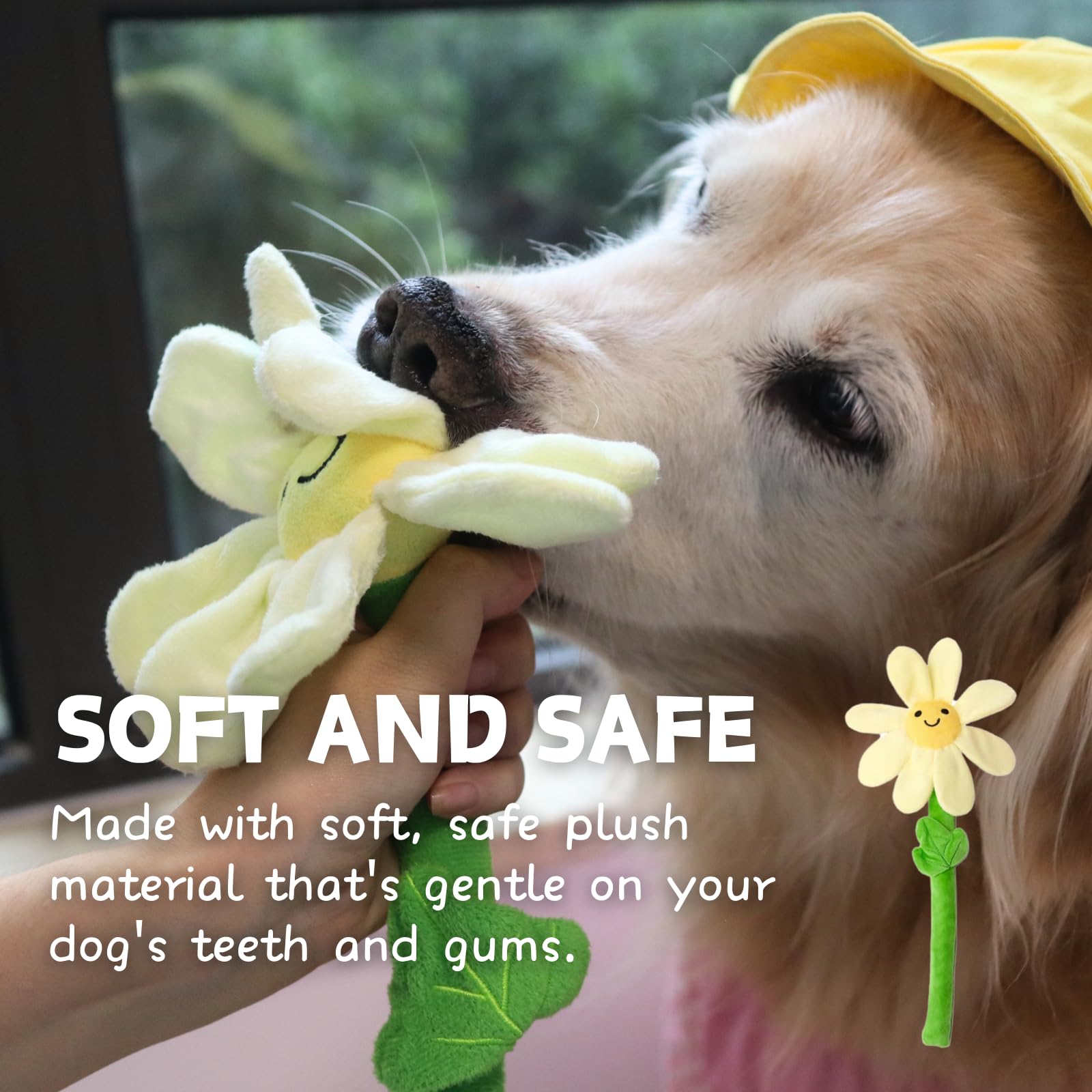 CECE PAW fetch-tug-flower demonstrates versatile play for fetch and tug