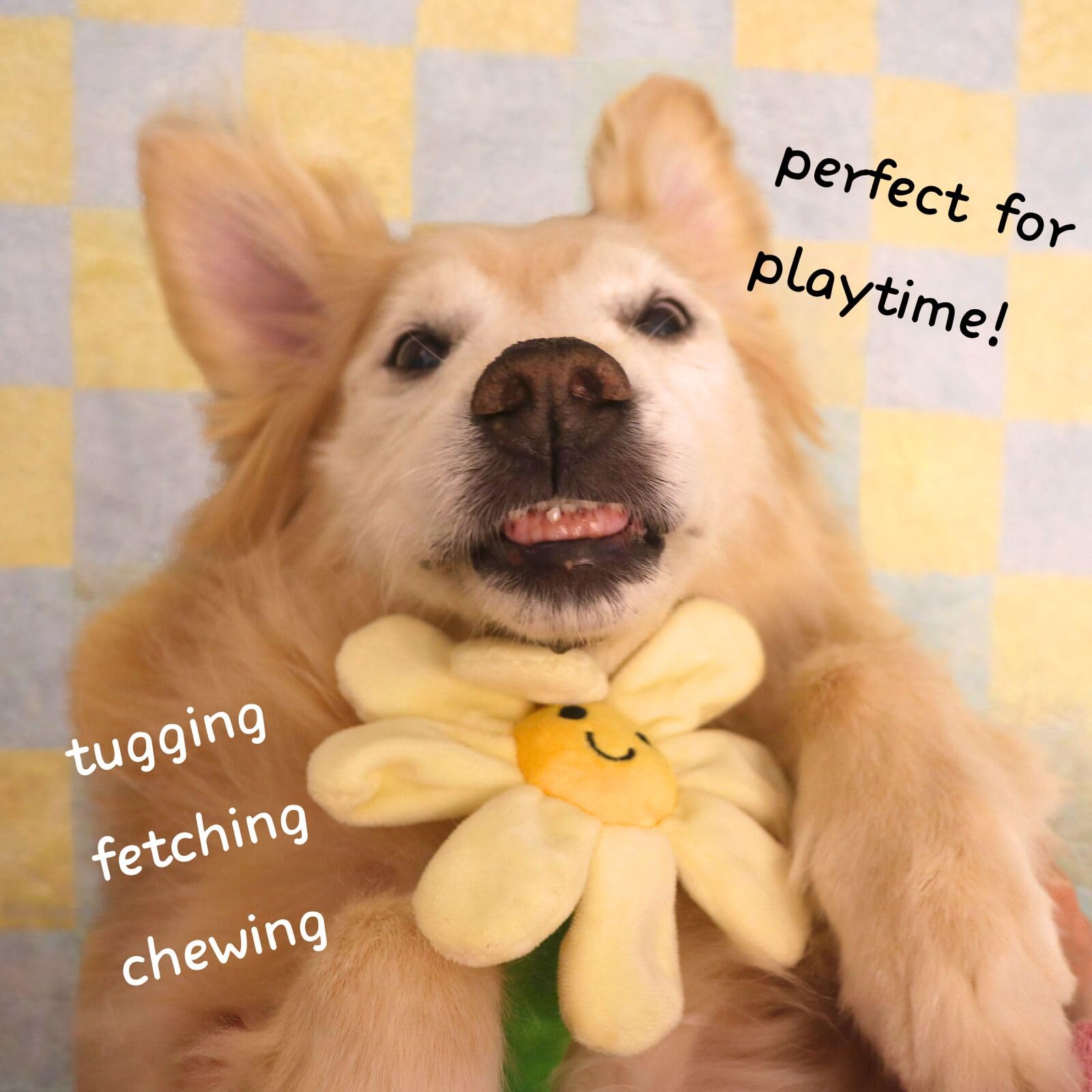 CECE PAW teething-toy-small-med suited for small and medium dogs