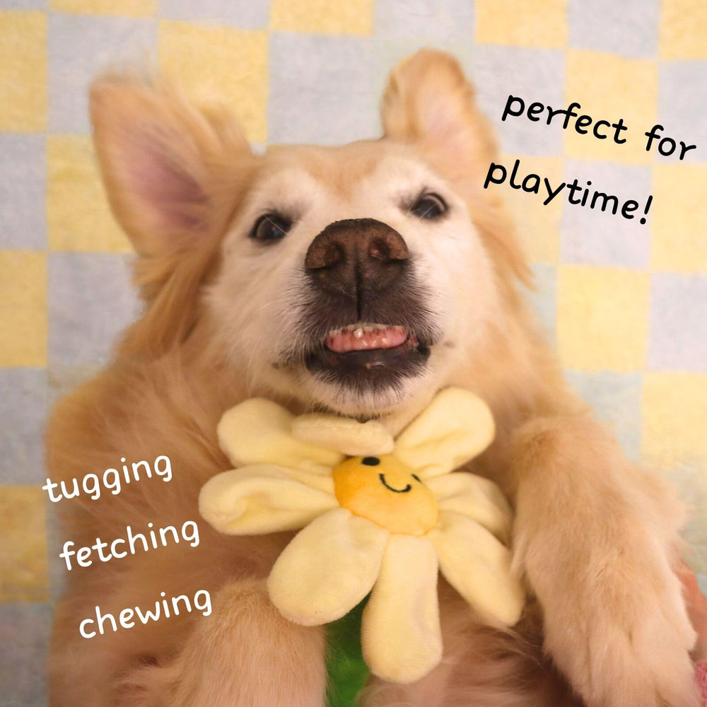 CECE PAW teething-toy-small-med suited for small and medium dogs