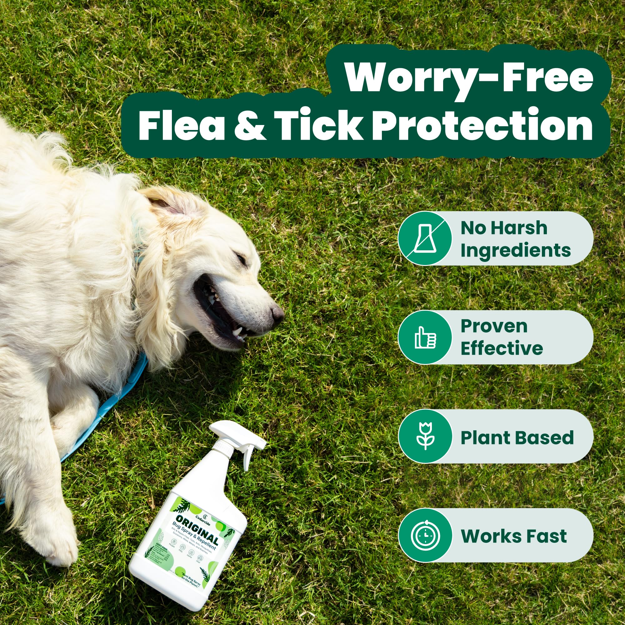 Cedarcide Original indoor protection spray shown on surfaces.