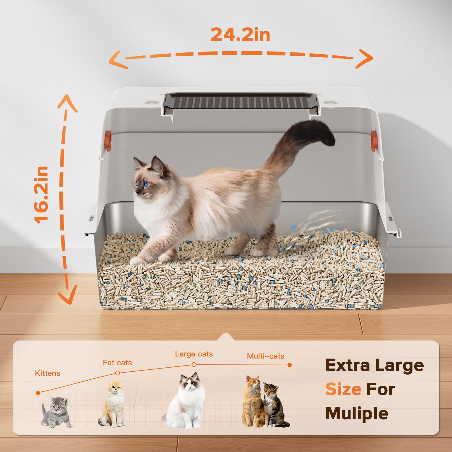 CEDBORR XL premium stainless litter box with lid off highlights convertible design for easy cleaning