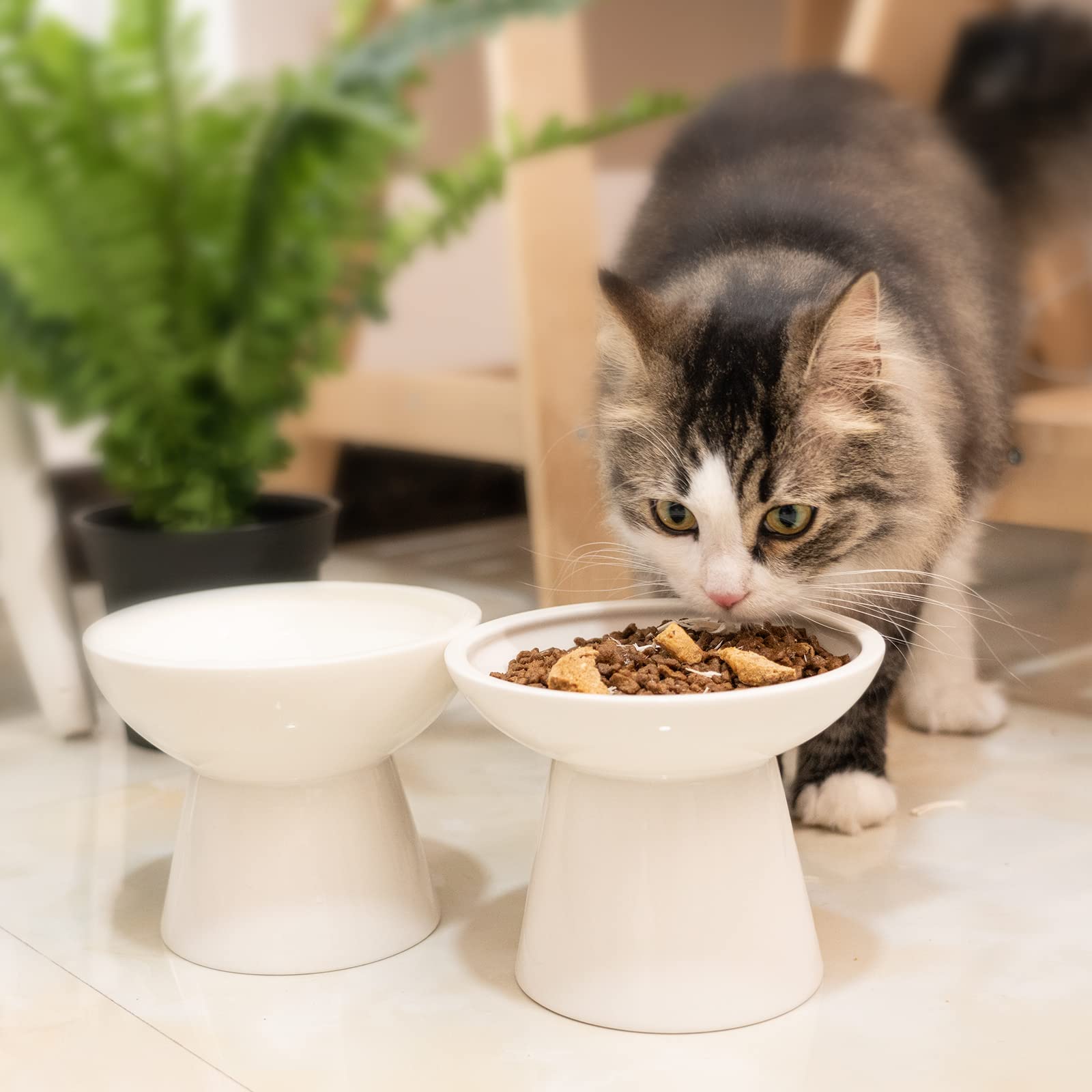 CEEFU cat bowls weigh over 3.6 pounds for stability.