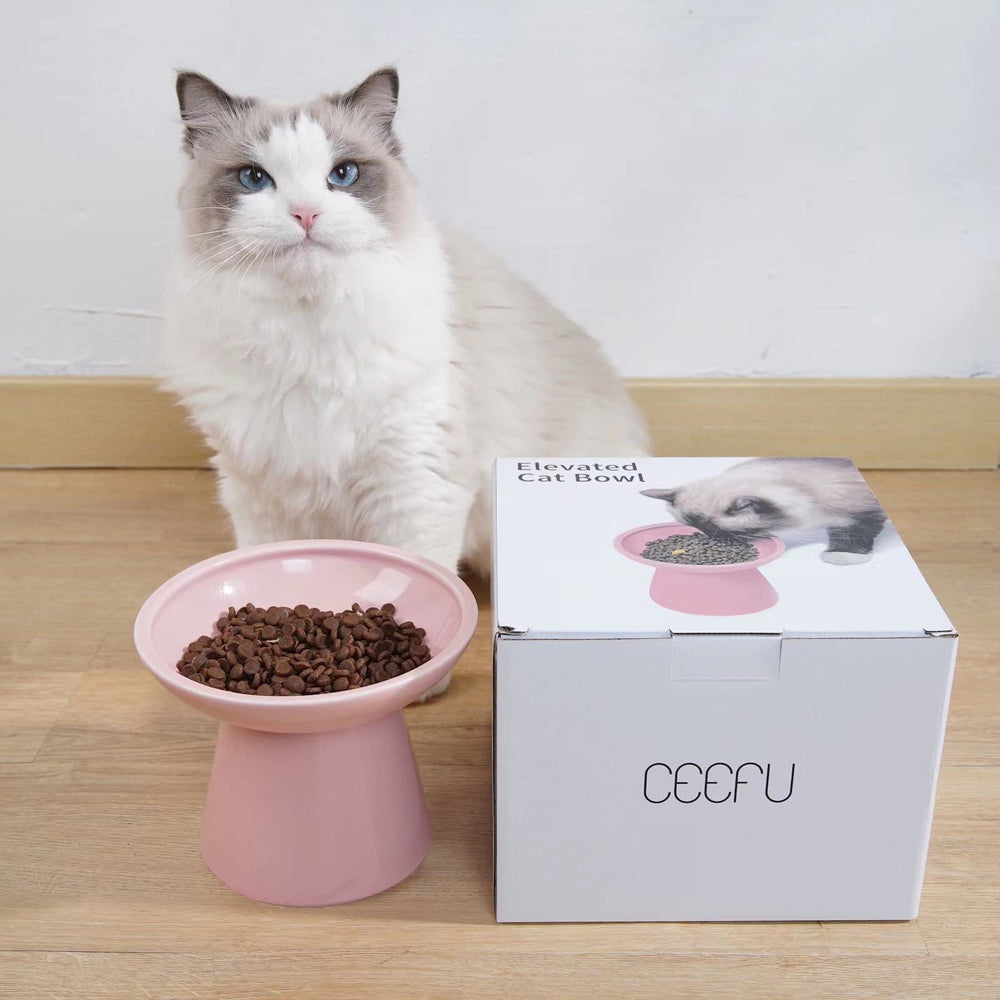 CEEFU ceramic cat bowl easy-clean and microwave-safe for busy owners