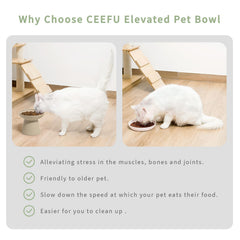 CEEFU ceramic texture close-up highlights non-absorbent surface that stays clean.