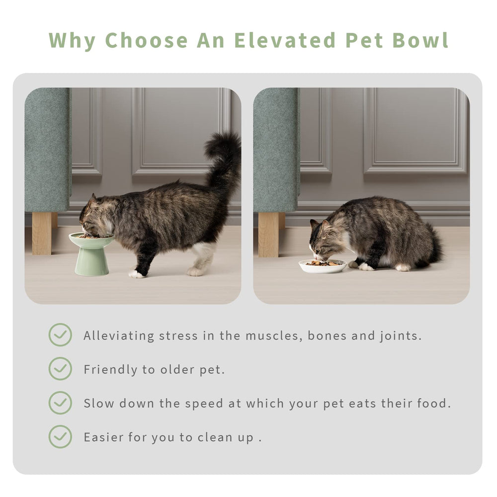 CEEFU dishwasher-safe cat bowls simplify cleanup after meals.