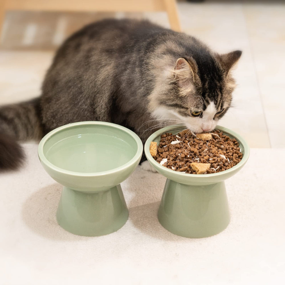 CEEFU modern Sage Green bowls add a stylish touch to any feeding area.