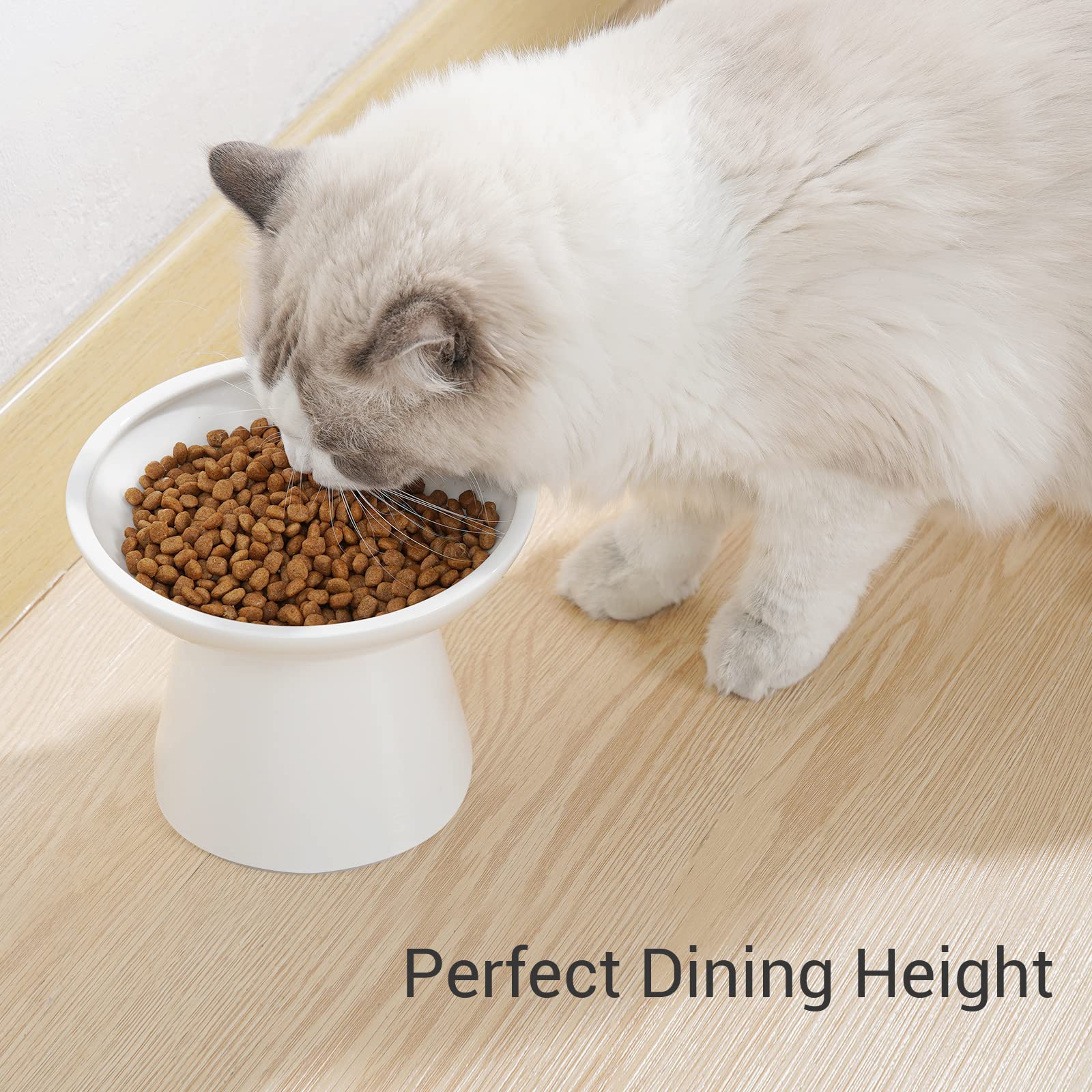 CEEFU modern white cat bowl pack of 2 fits any décor