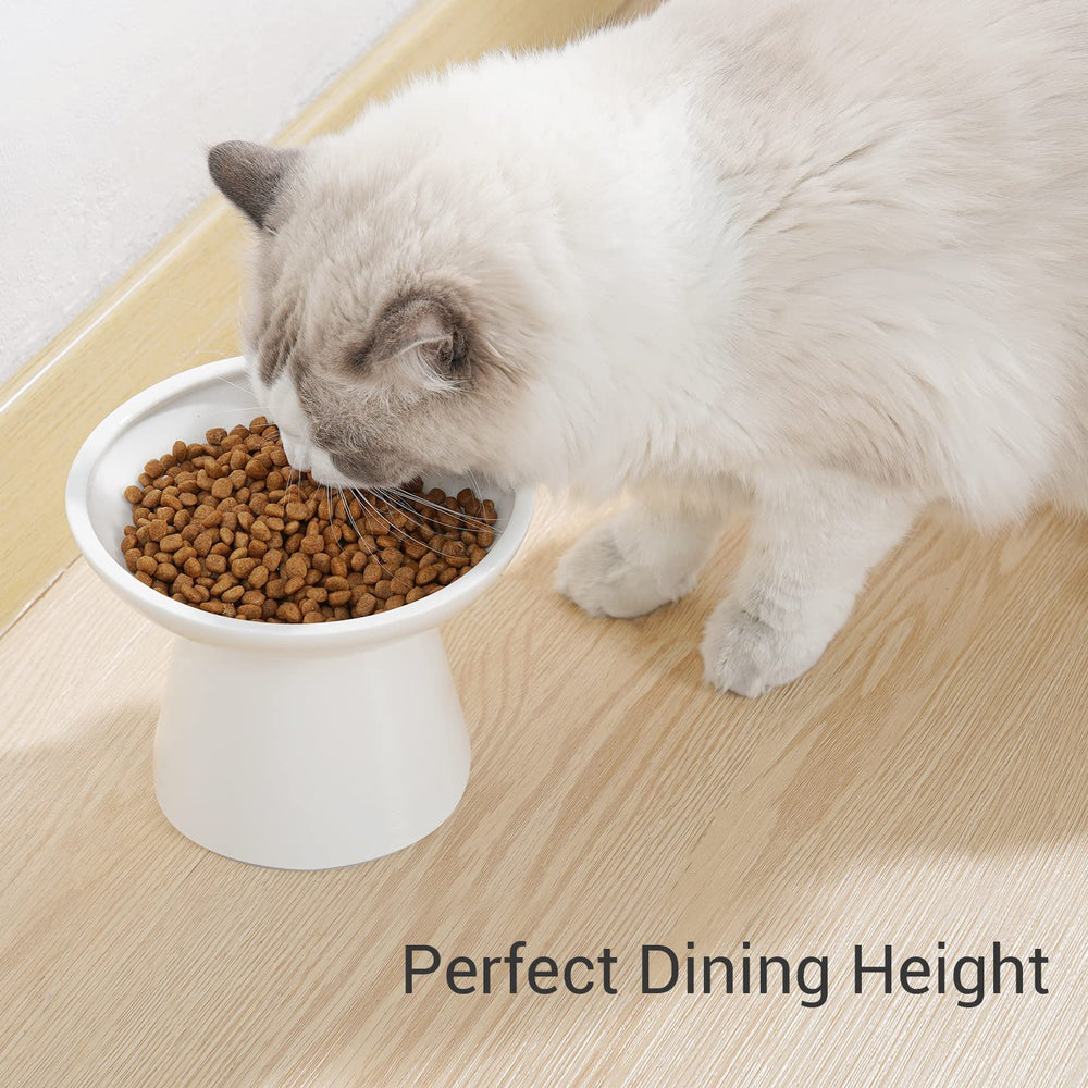 CEEFU modern white cat bowl pack of 2 fits any décor