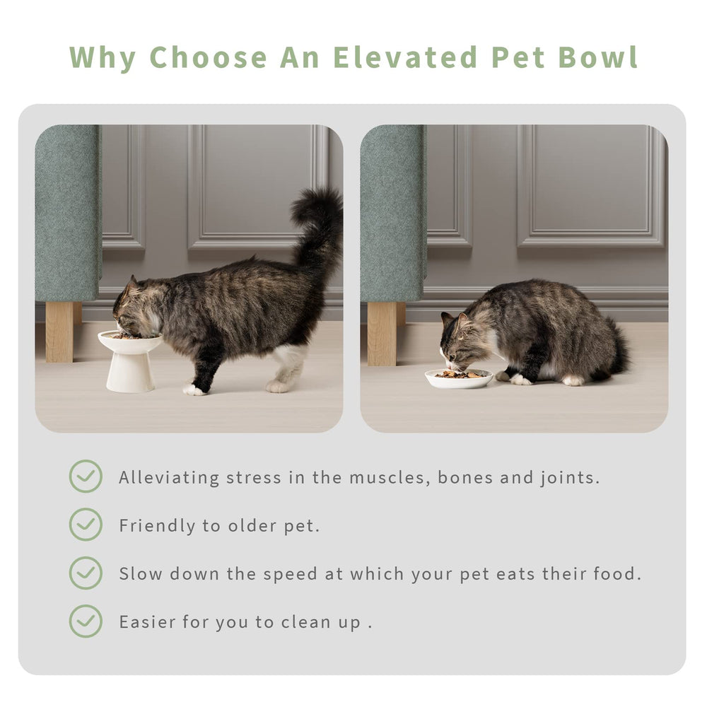 CEEFU ideal for older cats with comfortable eating position