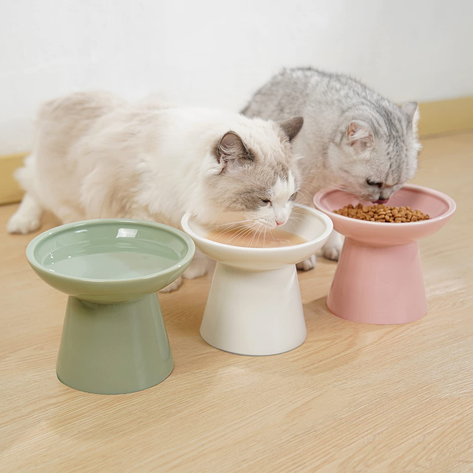 CEEFU pink raised cat bowl in use supporting older cat comfort