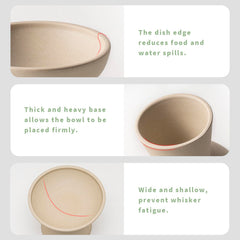 CEEFU two-bowl pack on setup showcases durable raised design for multi-pet households.