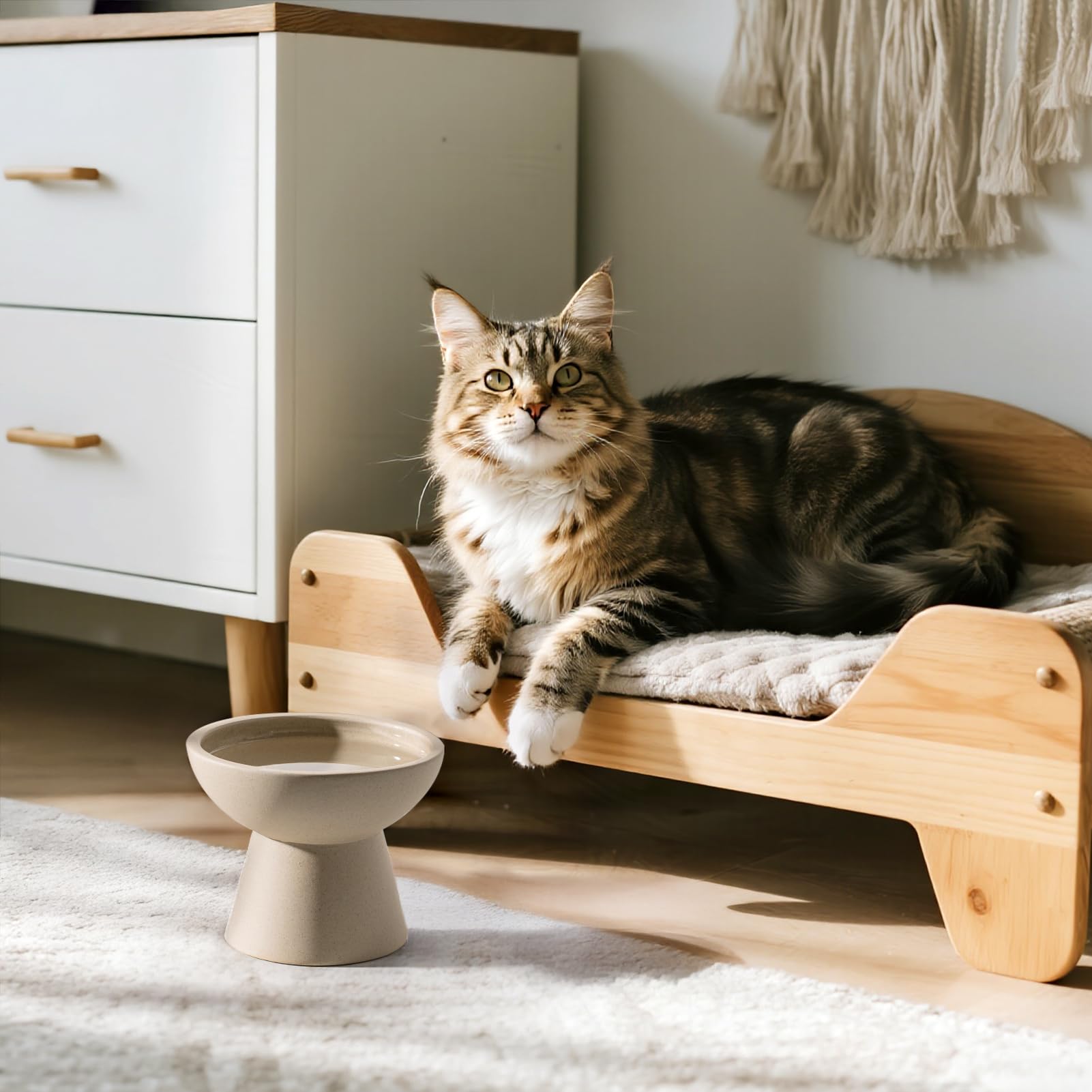 CEEFU two-color option image showcases stylish ceramic bowls that fit modern decor.
