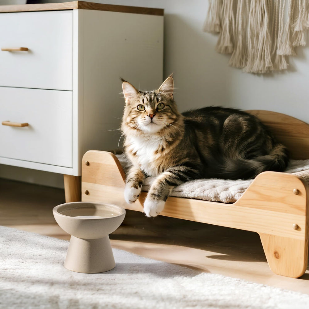 CEEFU two-color option image showcases stylish ceramic bowls that fit modern decor.