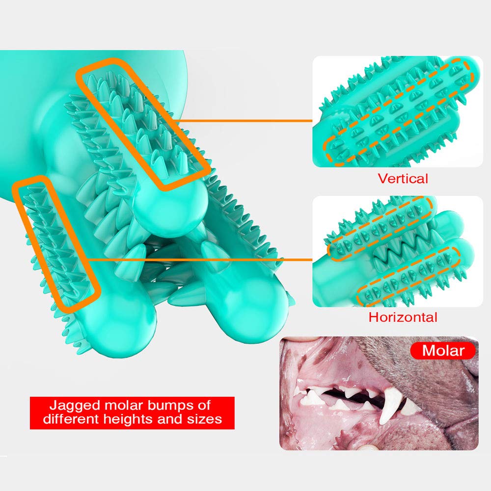 CEESC closeup of molar bumps on blue chew stick for targeted cleaning