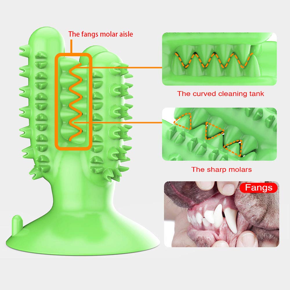 CEESC safe material image communicates no bitter taste during chewing sessions