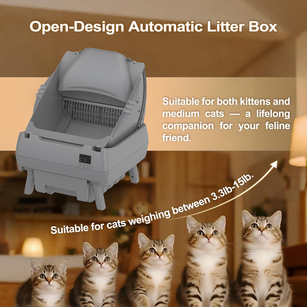 Cegimus open-style litter box provides easy access for medium cats and kittens.
