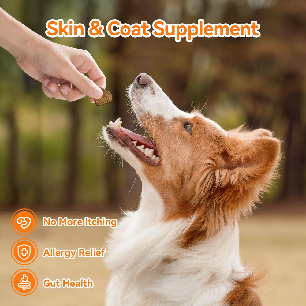 Celiaeh dog allergy chews ingredients label closeup features colostrum and probiotics.