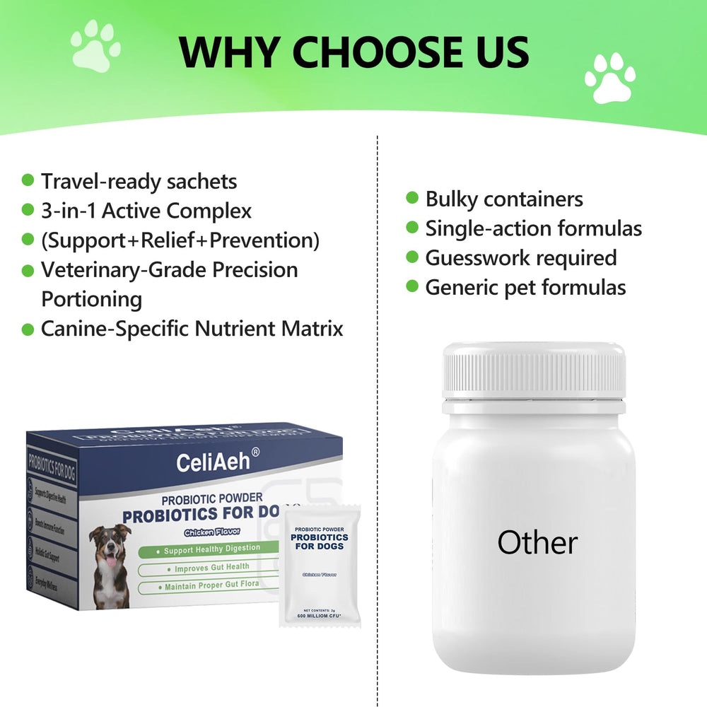 CeliAeh Probiotics for Dogs dog-eating scene suggests improved digestion after meals.