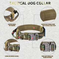 Celifelight bungee leash with two handles for quick control.