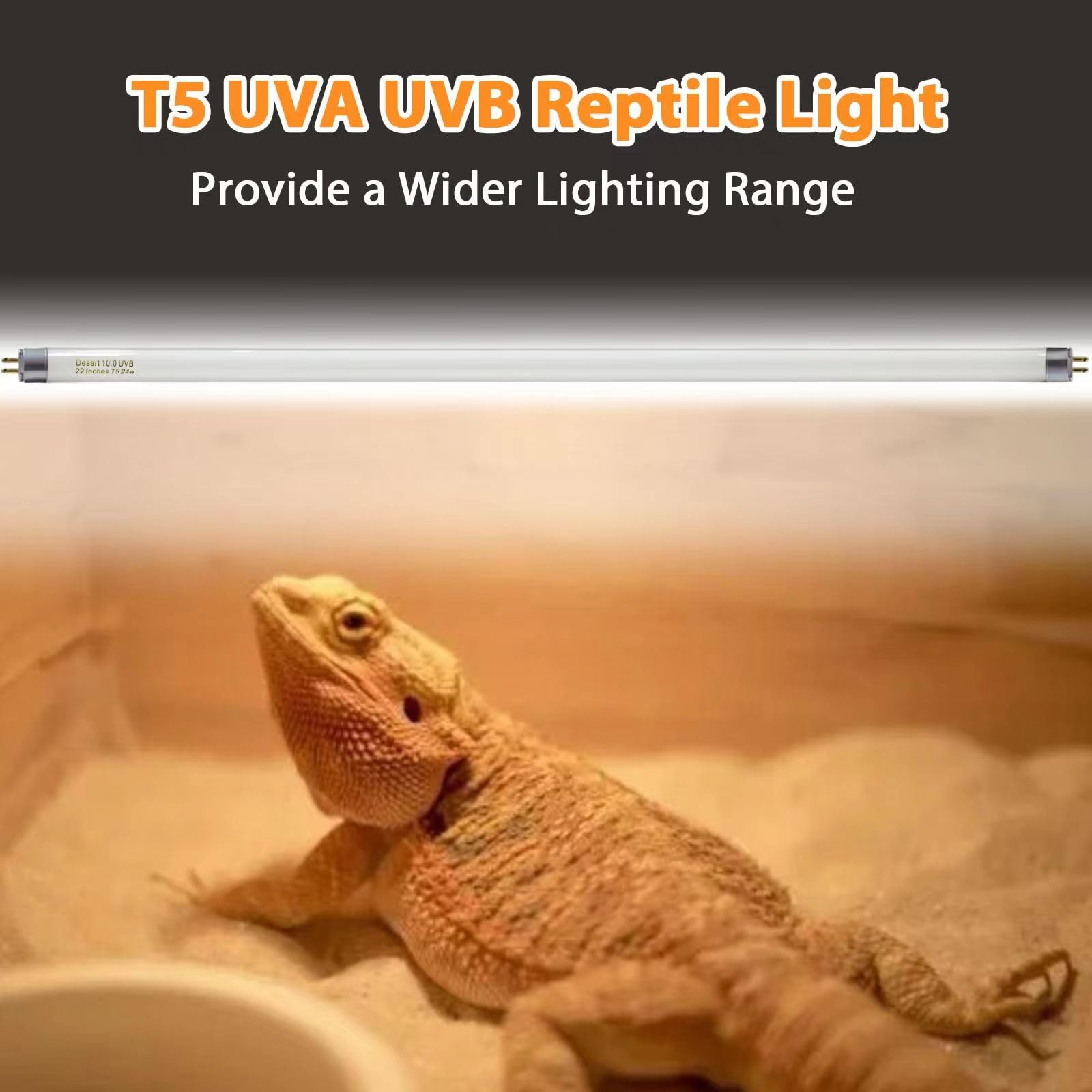 Celiwace Bearded Dragon UVB bulb 22in brightens daytime activity